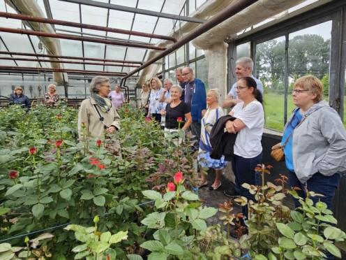 SFK 2024-05 Rosen Niehenke 04