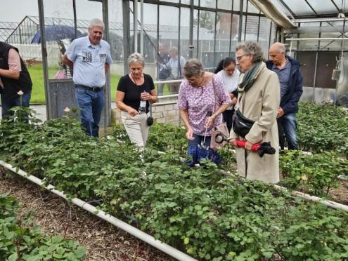 SFK 2024-05 Rosen Niehenke 07