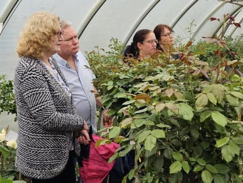 SFK 2024-05 Rosen Niehenke 09