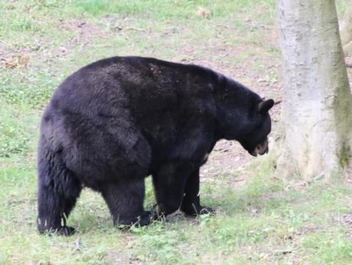SFK 2024-06 Zoo Osnabrück 07