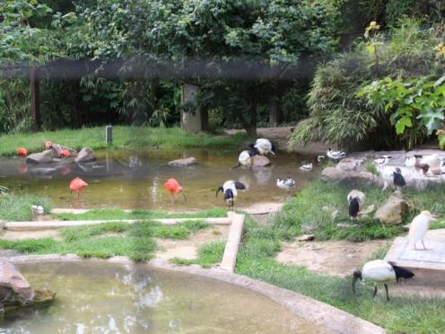 SFK 2024-06 Zoo Osnabrück 17