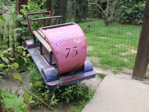 SFK 2024-06 Zoo Osnabrück 18