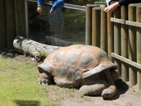 SFK 2024-06 Zoo Osnabrück 19
