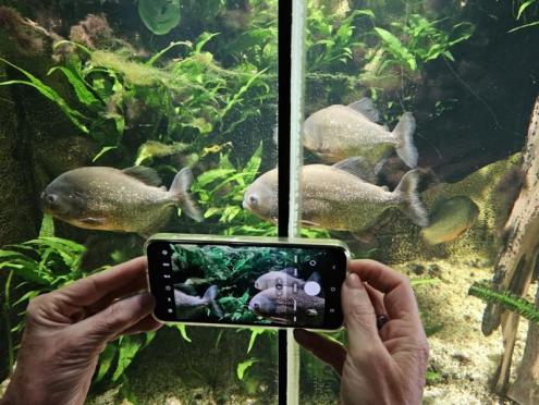 SFK 2024-06 Zoo Osnabrück 20