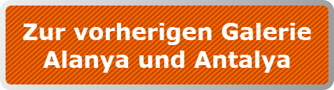 Zur vorherigen Galerie