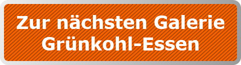 Zur nächsten Galerie