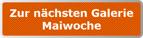 Zur nächsten Galerie