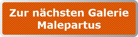 Zur nächsten Galerie