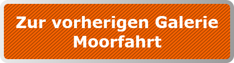 Zur vorherigen Galerie