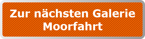 Zur nächsten Galerie