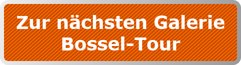 Zur nächsten Galerie