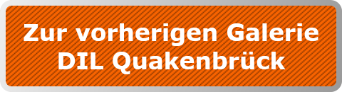 Zur vorherigen Galerie