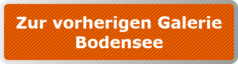 Zur vorherigen Galerie