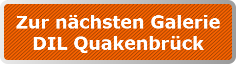 Zur nächsten Galerie