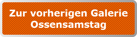 Zur vorherigen Galerie