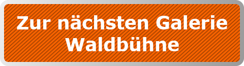 Zur nächsten Galerie