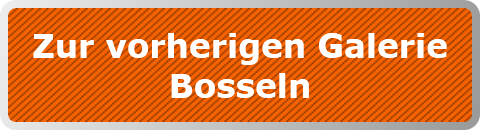Zur vorherigen Galerie