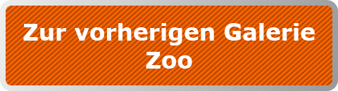 Zur vorherigen Galerie