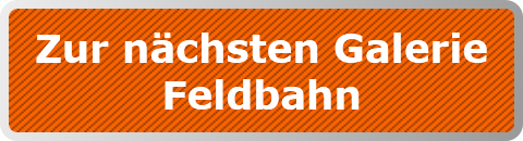 Zur nächsten Galerie