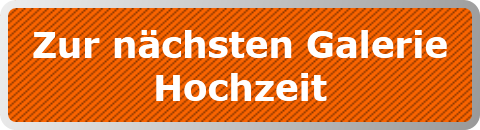 Zur nächsten Galerie