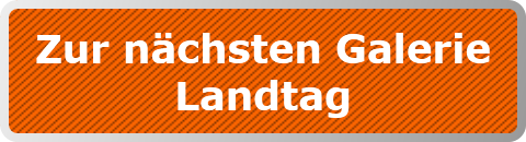 Zur nächsten Galerie