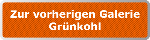 Zur vorherigen Galerie