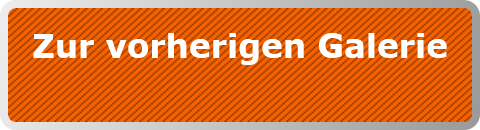 Zur vorherigen Galerie
