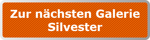 Zur nächsten Galerie