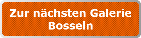 Zur nächsten Galerie