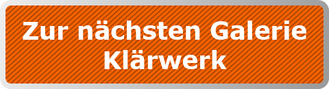 Zur nächsten Galerie